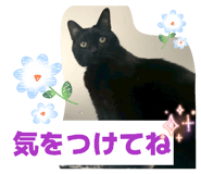 838541136