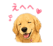 838541774