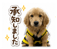 838541784