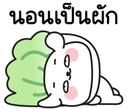 838542558
