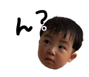 838542904