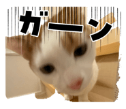 838543082