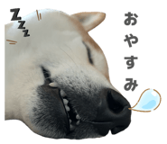 838543194