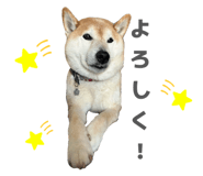 838543199