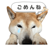 838543202