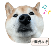 838543205