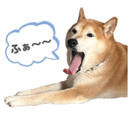 838543208