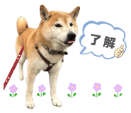 838543213