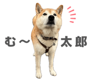 838543219