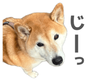 838543220