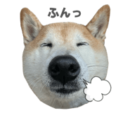 838543221