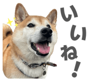 838543222