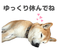 838543223