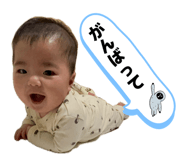 838543344