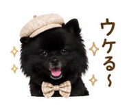 838543737