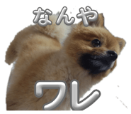 838543953
