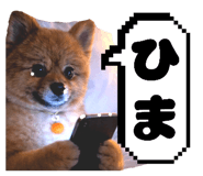 838543960