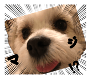 838545708