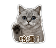 838546321