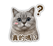 838546326