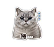 838546333