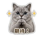 838546334
