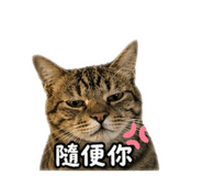838547363