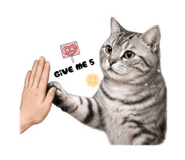 838547424