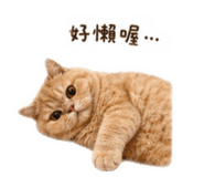 838547877