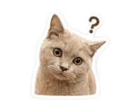 838547933