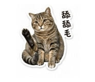 838548725