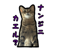 838551742