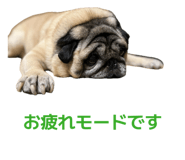 838552039