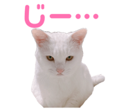 838552514