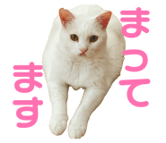 838552515