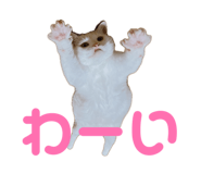 838552516
