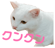 838552519