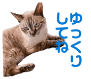 838552521