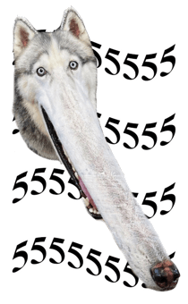 838553163