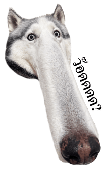 838553164