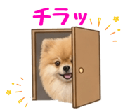 838553554