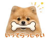 838553559