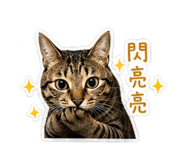 838554498