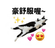 838555020