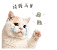 838555860