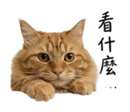 838556005