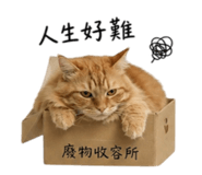 838556007