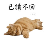 838556014