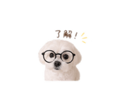 838556367