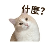 838556435